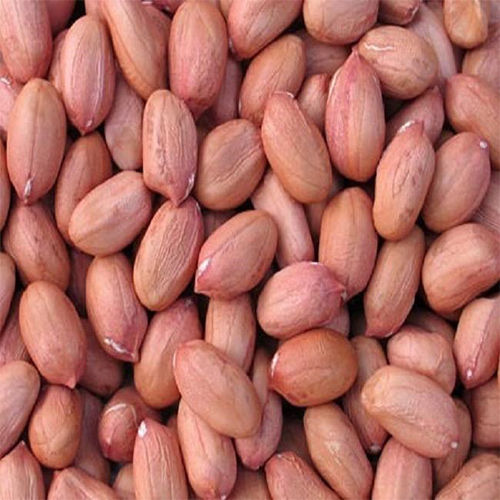 red skin peanut kernel