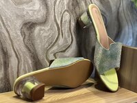 Fancy Slipper