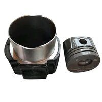 Cast Iron Bike Piston