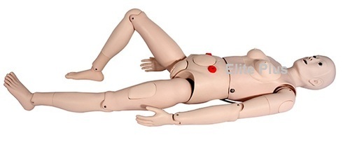 ZX-NS 6002 Multi-Fuctional Nursing Manikin (Female)
