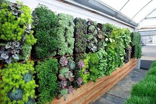 VERTICAL GARDEN