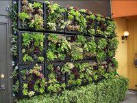 Vertical Garden Grass