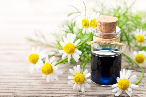 Chamomile Blue Essential Oils