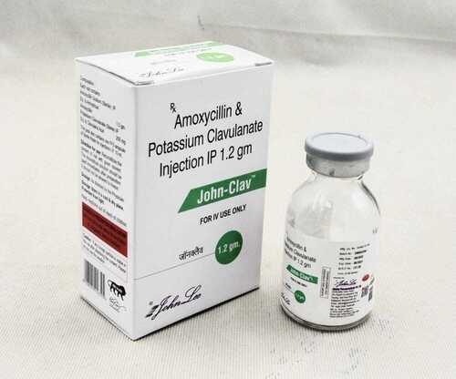 Amoxycillin Cloxacillin Injection