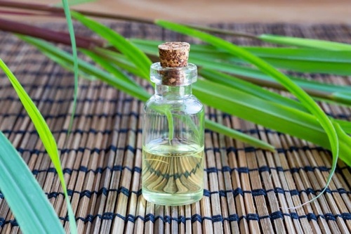 Citronella Java Essential Oil