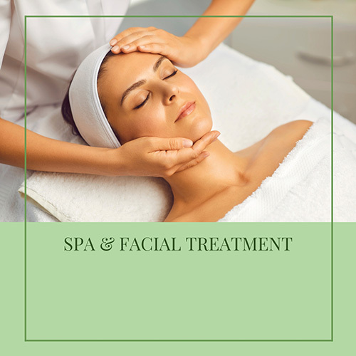 Spa And Facial Treatment