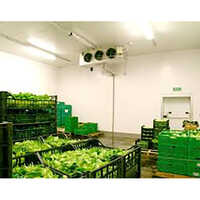 White Vegetable Cold Storage Room