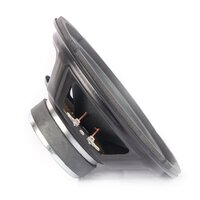 Dual Cone Speaker