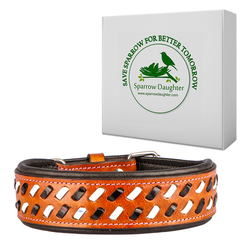 SPARROW DAUGHTER HAND MADE DOG COLLAR WITH BRAIDED DESIGN