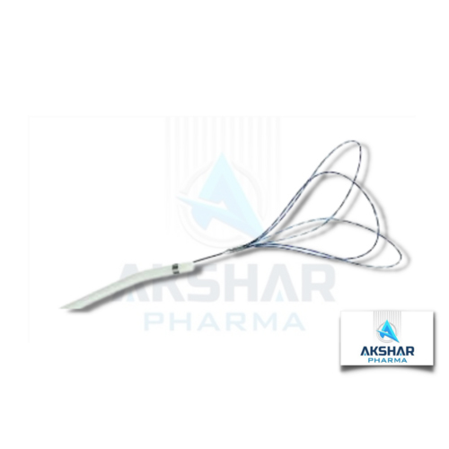 Endovascular Snare System