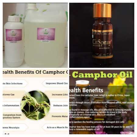 Camphor Oil