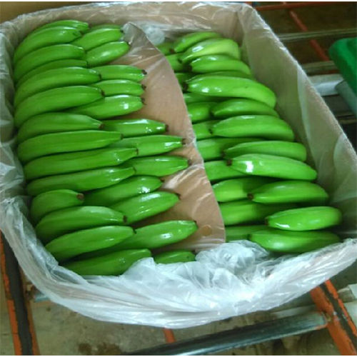 Green Cavendish Banana