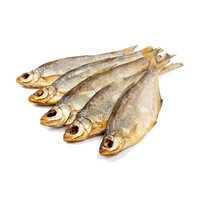 Dried Fish