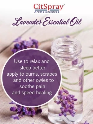 lavender oil