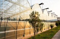 Brown And Green Brown Greenhouse Evaporative Cooling Pad Dealers In Warangal Telangana