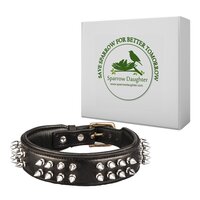SPARROW DAUGHTER DOG COLLAR WITH SPIKED IN LEATHER