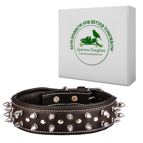 SPARROW DAUGHTER LEATHER DOG COLLAR WITH SPIKES AND STUDDED