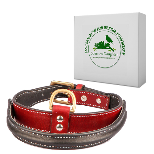 SPARROW DAUGHTER RED AND BROWN DOG COLOR WITH CONTROL HANDLE