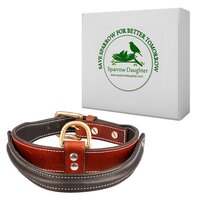 SPARROW DAUGHTER CONTROL HANDLE DOG COLLAR WITH TWO COLOR COMBINATION