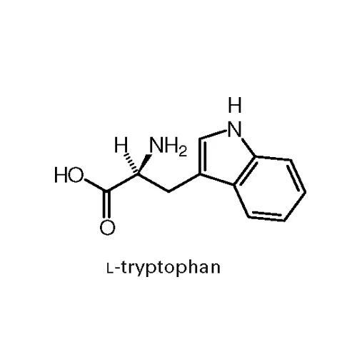 L  Tryptophan Compound Application: Pharmaceutical