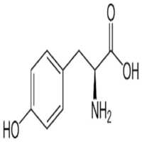 L Tyrosine Compound - Molecular Formula C9h11no3, 181.19 Grams Pharmaceutical-grade Powder, Enhances Cognitive Function And Mood