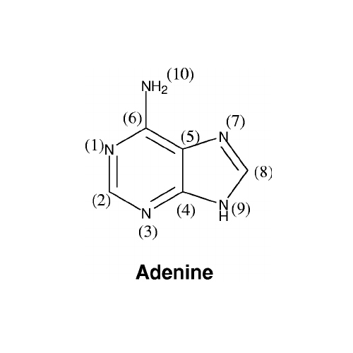 Adenine Compound