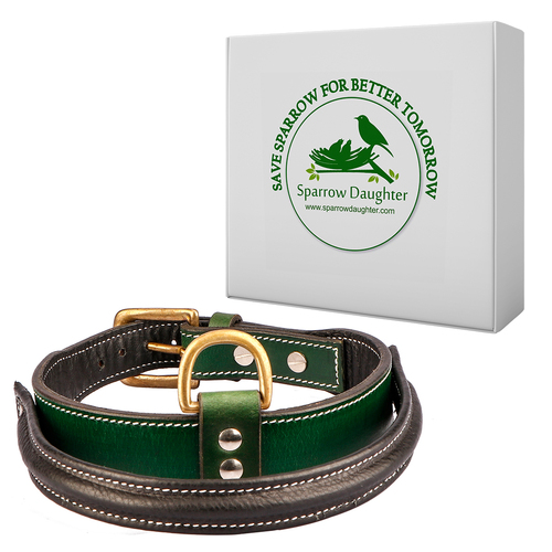 SPARROW DAUGHTER DOG COLLAR WITH SOFT PADDED HANDLE FOR LARGE AND MEDIUM DOG - Leather, Medium/Large, Green and Dark Brown, Antique Brass Buckle, Durable and Comfortable