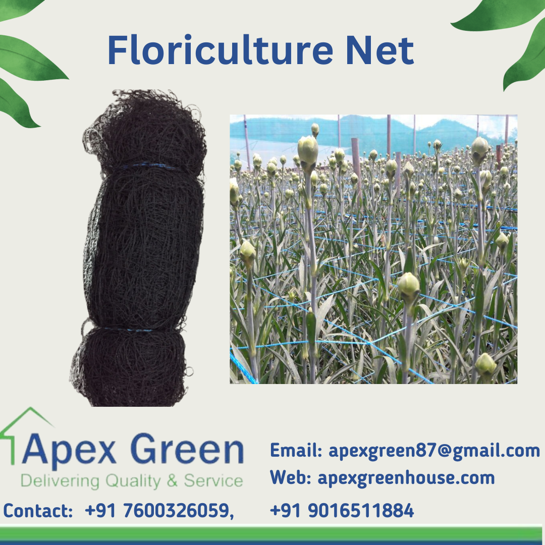 Chrysanthemum Flower Plant Support Net