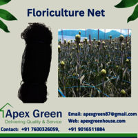 Chrysanthemum Flower Plant Support Net