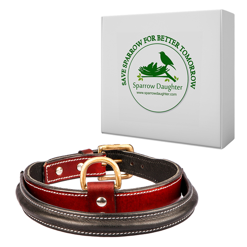 SPARROW DAUGHTER PURE LEATHER COLLAR WITH CONTROL HANDLE