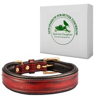 SPARROW DAUGHTER LEATHER DOG COLLAR WITH SOFT PADDED