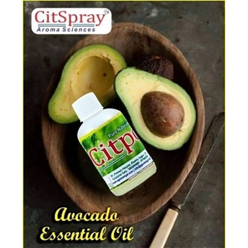 Avocado Essential Oil Ingredients: Herbal Extract