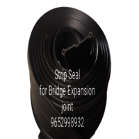 Strip Seal