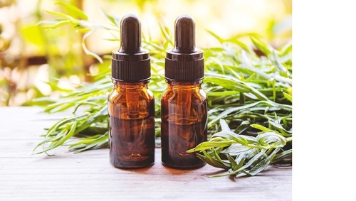 Tarrogan Essential Oil