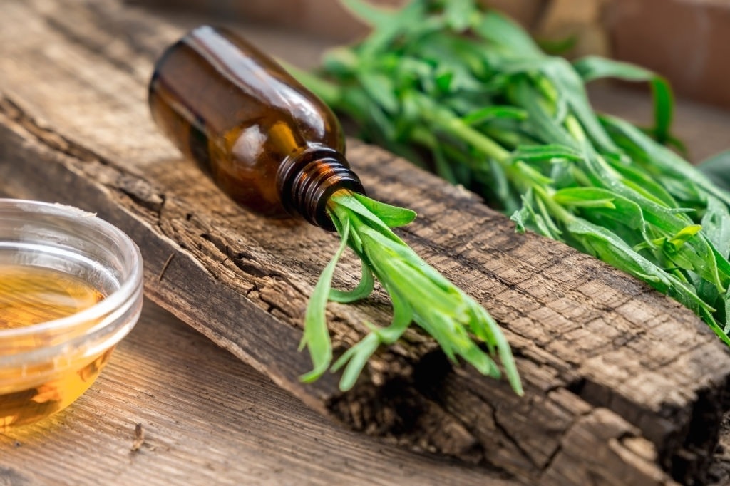 Tarrogan Essential Oil