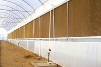 Greenhouse Evaporative Cooling Pad Manufacturer In Ludhiana Punjab