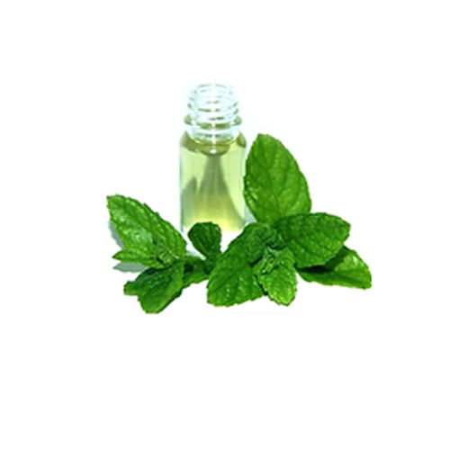 Spearmint Oil at Rs 2300/kg, Spearmint Oil in Budaun