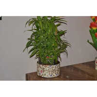 Paper Flower Pot Tube Box - Paper Material | White Color, Ideal For Gift Use