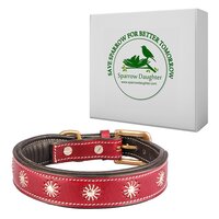 SPARROW DAUGHTER DOG COLLAR WITH SOFT PADDED AND DESIGN