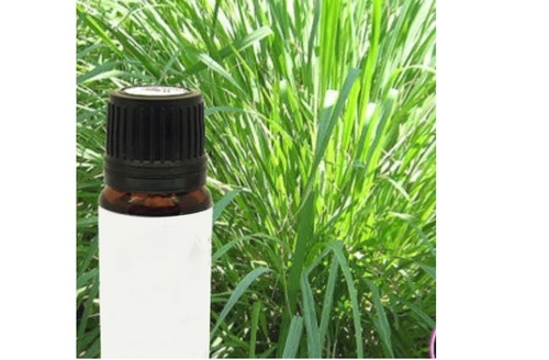 Ginger Grass Essential Oil