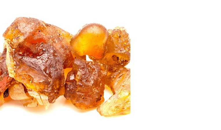 Gurjun Essential Oil