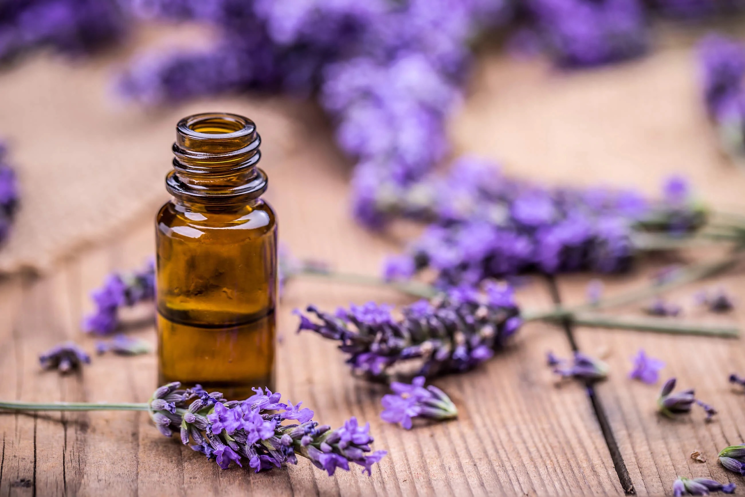 Pure Lavender Oil