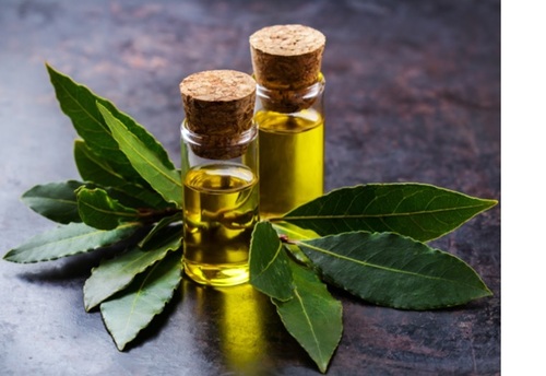 Bay Leaf Essential Oil - Grade: Cosmetic Grade