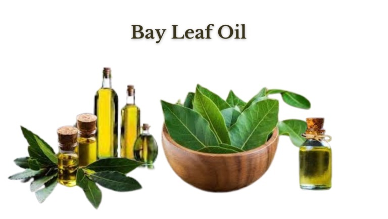 Bay Leaf Essential Oil
