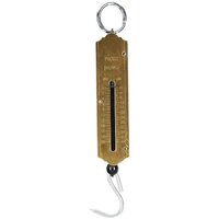 Hanging Scale