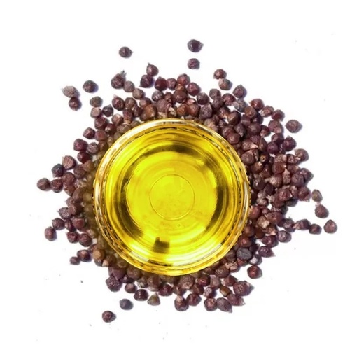 MGanna 100% Natural Pure Tomar Seed Oil for Cosmetic Formulations and Aromatherapy Diffuser