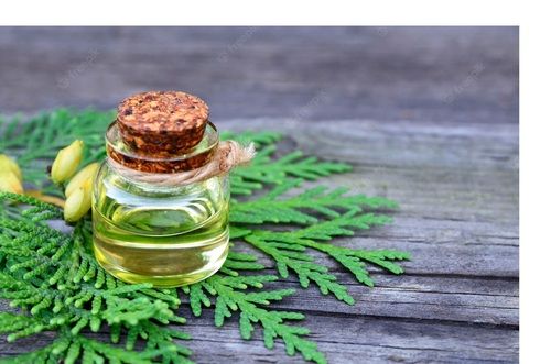 MGanna Thuja Wood Essential Oil for Aromatherapy Soap Making and Cosmetics Formulations