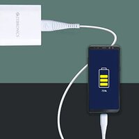 Zebronics ZEB-UCC101 Type C Cable
