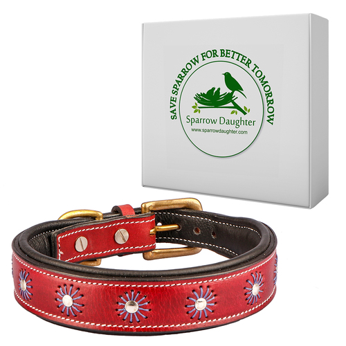 SPARROW DAUGHTER DOG COLLAR WITH SOFT PADDED AND DESIGN FOR SMALL MEDIUM DOGS - Leather, Small/Medium, Marron, Antique Brass Buckle, Rust Resistant, Handcrafted