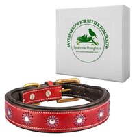 SPARROW DAUGHTER DOG COLLAR WITH SOFT PADDED AND DESIGN FOR SMALL MEDIUM DOGS